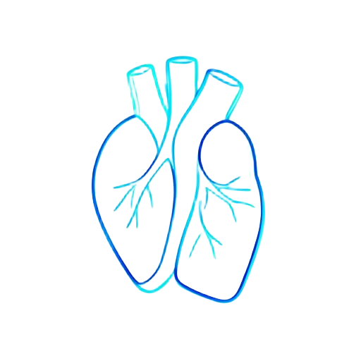 Structural Cardiology